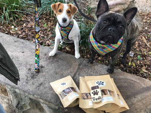 Featured Fluffs and their Faves - Peanut (and Molly!)