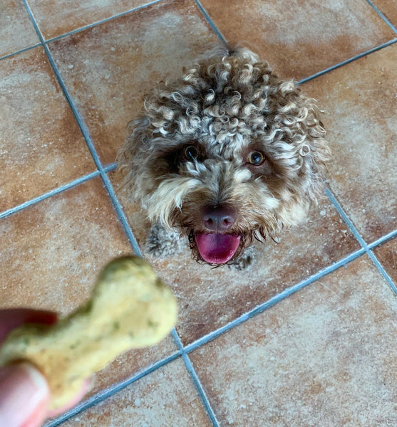 Featured Fluffs and their Faves - BertieB